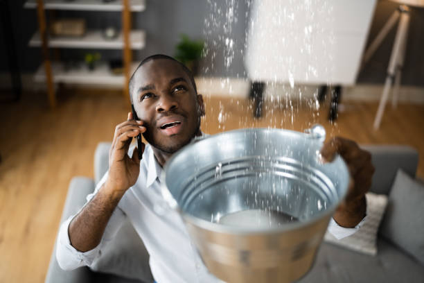 Best Water damage restoration near me  in Bamberg, SC