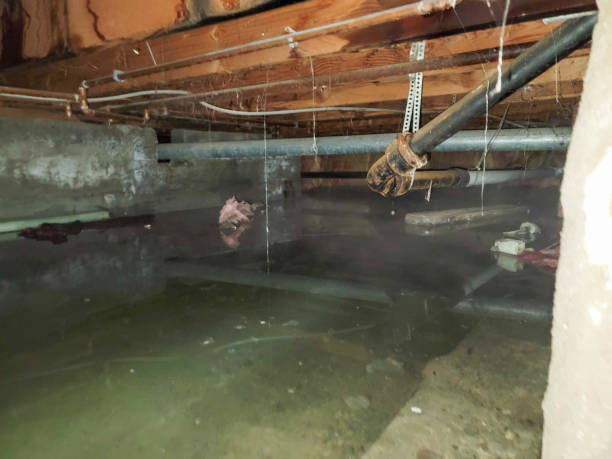 Best Fire Damage Restoration  in Bamberg, SC