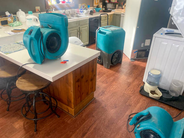 Best 24-hour water damage restoration  in Bamberg, SC