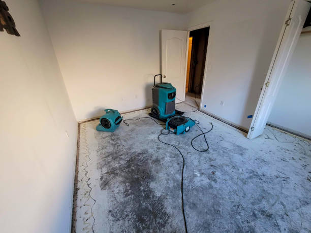 Best Water damage contractors near me  in Bamberg, SC