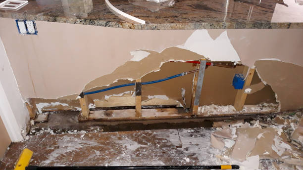 Best Carpet water damage restoration  in Bamberg, SC