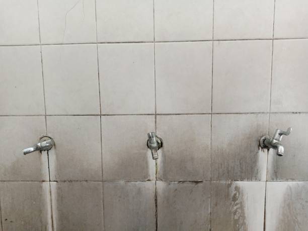 Best Residential water damage restoration  in Bamberg, SC