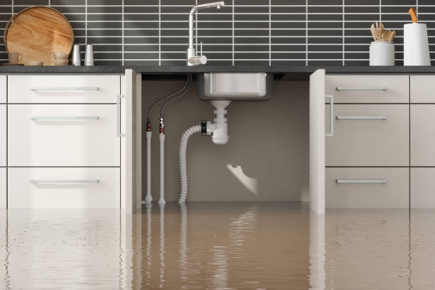 Best Basement water damage restoration  in Bamberg, SC