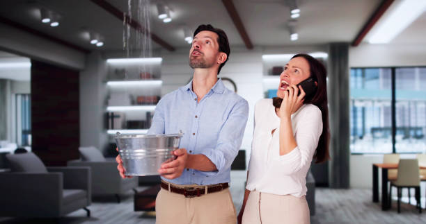 Best Flood restoration services  in Bamberg, SC