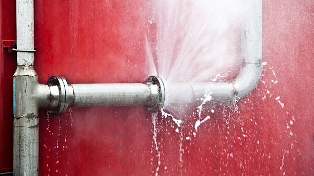 Best Water damage restoration services  in Bamberg, SC