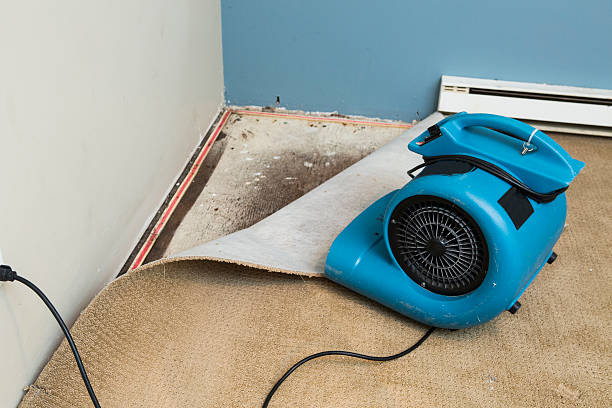 Best Emergency water damage restoration  in Bamberg, SC